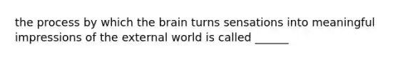 the process by which the brain turns sensations into meaningful impressions of the external world is called ______