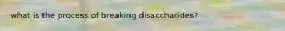 what is the process of breaking disaccharides?