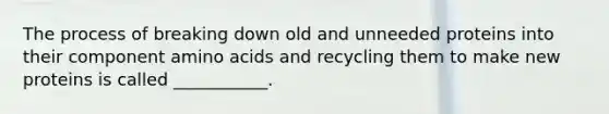 The process of breaking down old and unneeded proteins into their component amino acids and recycling them to make new proteins is called ___________.