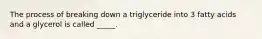 The process of breaking down a triglyceride into 3 fatty acids and a glycerol is called _____.