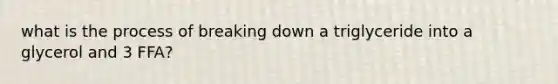 what is the process of breaking down a triglyceride into a glycerol and 3 FFA?