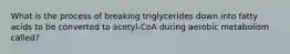 What is the process of breaking triglycerides down into fatty acids to be converted to acetyl-CoA during aerobic metabolism called?