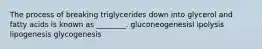 The process of breaking triglycerides down into glycerol and fatty acids is known as ________. gluconeogenesisl ipolysis lipogenesis glycogenesis