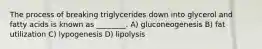 The process of breaking triglycerides down into glycerol and fatty acids is known as ________. A) gluconeogenesis B) fat utilization C) lypogenesis D) lipolysis