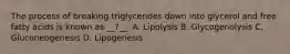 The process of breaking triglycerides down into glycerol and free fatty acids is known as __?__. A. Lipolysis B. Glycogenolysis C. Gluconeogenesis D. Lipogenesis