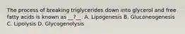 The process of breaking triglycerides down into glycerol and free fatty acids is known as __?__. A. Lipogenesis B. Gluconeogenesis C. Lipolysis D. Glycogenolysis