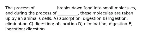 The process of __________ breaks down food into small molecules, and during the process of __________, these molecules are taken up by an animal's cells. A) absorption; digestion B) ingestion; elimination C) digestion; absorption D) elimination; digestion E) ingestion; digestion