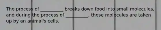 The process of __________ breaks down food into small molecules, and during the process of __________, these molecules are taken up by an animal's cells.