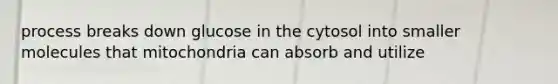 process breaks down glucose in the cytosol into smaller molecules that mitochondria can absorb and utilize