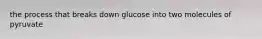 the process that breaks down glucose into two molecules of pyruvate