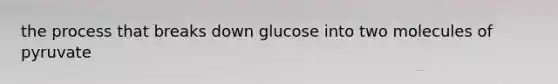 the process that breaks down glucose into two molecules of pyruvate