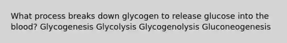 What process breaks down glycogen to release glucose into <a href='https://www.questionai.com/knowledge/k7oXMfj7lk-the-blood' class='anchor-knowledge'>the blood</a>? Glycogenesis Glycolysis Glycogenolysis Gluconeogenesis