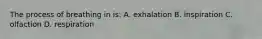 The process of breathing in is: A. exhalation B. inspiration C. olfaction D. respiration