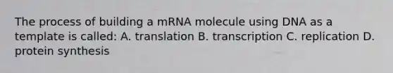 The process of building a mRNA molecule using DNA as a template is called: A. translation B. transcription C. replication D. protein synthesis