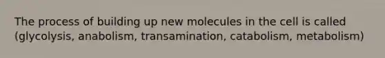 The process of building up new molecules in the cell is called (glycolysis, anabolism, transamination, catabolism, metabolism)