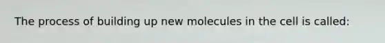 The process of building up new molecules in the cell is called: