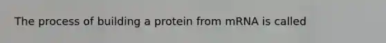 The process of building a protein from mRNA is called