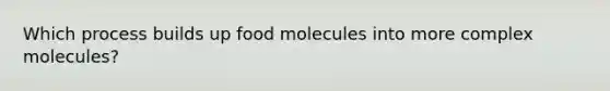 Which process builds up food molecules into more complex molecules?