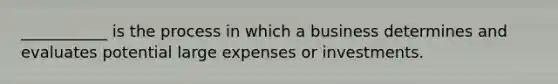 ___________ is the process in which a business determines and evaluates potential large expenses or investments.