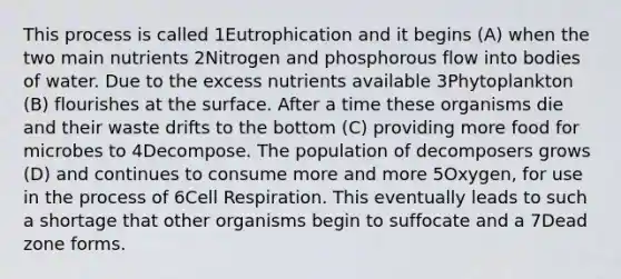 This process is called 1Eutrophication and it begins (A) when the two main nutrients 2Nitrogen and phosphorous flow into bodies of water. Due to the excess nutrients available 3Phytoplankton (B) flourishes at the surface. After a time these organisms die and their waste drifts to the bottom (C) providing more food for microbes to 4Decompose. The population of decomposers grows (D) and continues to consume more and more 5Oxygen, for use in the process of 6Cell Respiration. This eventually leads to such a shortage that other organisms begin to suffocate and a 7Dead zone forms.