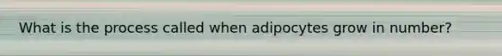 What is the process called when adipocytes grow in number?