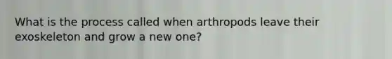 What is the process called when arthropods leave their exoskeleton and grow a new one?