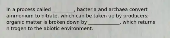 In a process called _________, bacteria and archaea convert ammonium to nitrate, which can be taken up by producers; organic matter is broken down by _____________, which returns nitrogen to the abiotic environment.