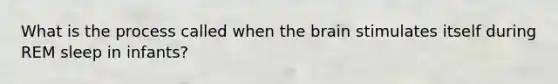 What is the process called when the brain stimulates itself during REM sleep in infants?
