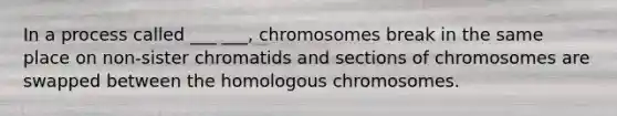 In a process called ___ ___, chromosomes break in the same place on non-sister chromatids and sections of chromosomes are swapped between the homologous chromosomes.