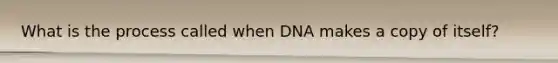 What is the process called when DNA makes a copy of itself?