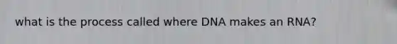 what is the process called where DNA makes an RNA?