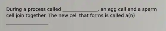 During a process called _______________, an egg cell and a sperm cell join together. The new cell that forms is called a(n) __________________.