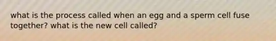 what is the process called when an egg and a sperm cell fuse together? what is the new cell called?