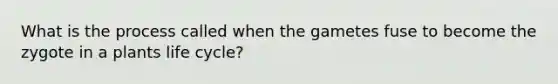 What is the process called when the gametes fuse to become the zygote in a plants life cycle?