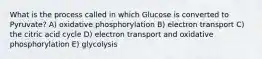 What is the process called in which Glucose is converted to Pyruvate? A) oxidative phosphorylation B) electron transport C) the citric acid cycle D) electron transport and oxidative phosphorylation E) glycolysis