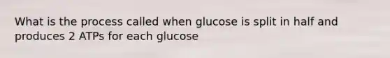 What is the process called when glucose is split in half and produces 2 ATPs for each glucose