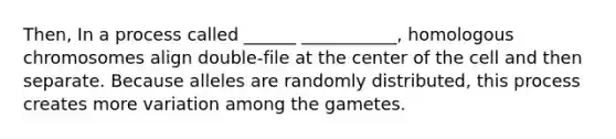 Then, In a process called ______ ___________, homologous chromosomes align double-file at the center of the cell and then separate. Because alleles are randomly distributed, this process creates more variation among the gametes.