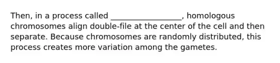 Then, in a process called __________________, homologous chromosomes align double-file at the center of the cell and then separate. Because chromosomes are randomly distributed, this process creates more variation among the gametes.