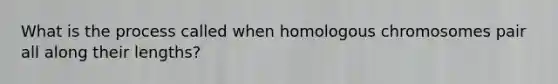 What is the process called when homologous chromosomes pair all along their lengths?