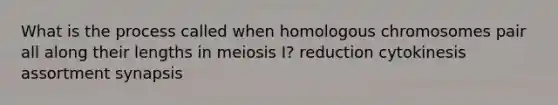 What is the process called when homologous chromosomes pair all along their lengths in meiosis I? reduction cytokinesis assortment synapsis