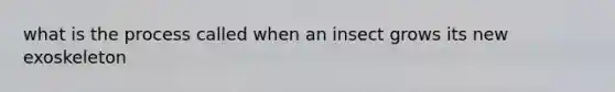 what is the process called when an insect grows its new exoskeleton