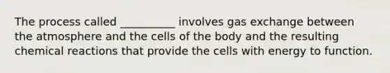 The process called __________ involves gas exchange between the atmosphere and the cells of the body and the resulting chemical reactions that provide the cells with energy to function.