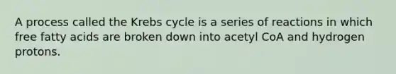 A process called the Krebs cycle is a series of reactions in which free fatty acids are broken down into acetyl CoA and hydrogen protons.