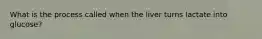 What is the process called when the liver turns lactate into glucose?