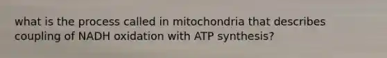 what is the process called in mitochondria that describes coupling of NADH oxidation with ATP synthesis?