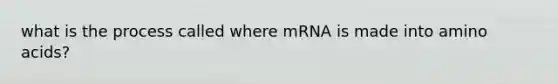 what is the process called where mRNA is made into amino acids?