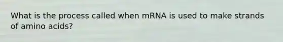 What is the process called when mRNA is used to make strands of amino acids?