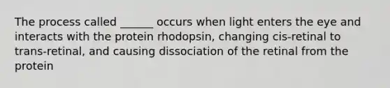 The process called ______ occurs when light enters the eye and interacts with the protein rhodopsin, changing cis-retinal to trans-retinal, and causing dissociation of the retinal from the protein