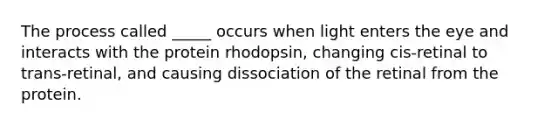 The process called _____ occurs when light enters the eye and interacts with the protein rhodopsin, changing cis-retinal to trans-retinal, and causing dissociation of the retinal from the protein.