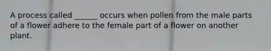 A process called ______ occurs when pollen from the male parts of a flower adhere to the female part of a flower on another plant.